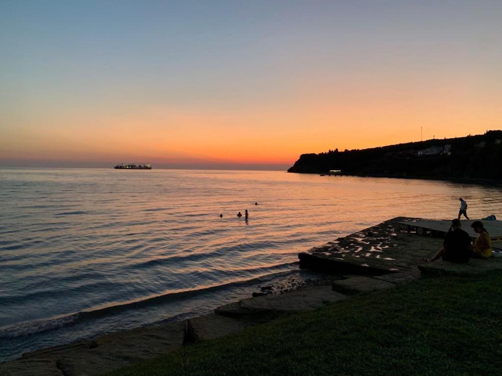 Guesthouse Skofije Ob Parenzani Spodnje Skofije Exterior foto